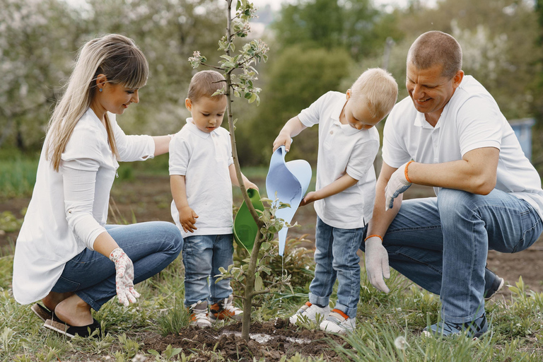 Yerevan: Private Tree Planting Experience with Tea