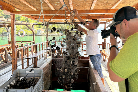 Oyster farm experience-private day trip from Dubrovnik