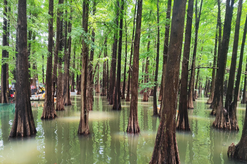 From Guangzhou: Zhaoqing Culture Trip with Lunch & Boat Ride