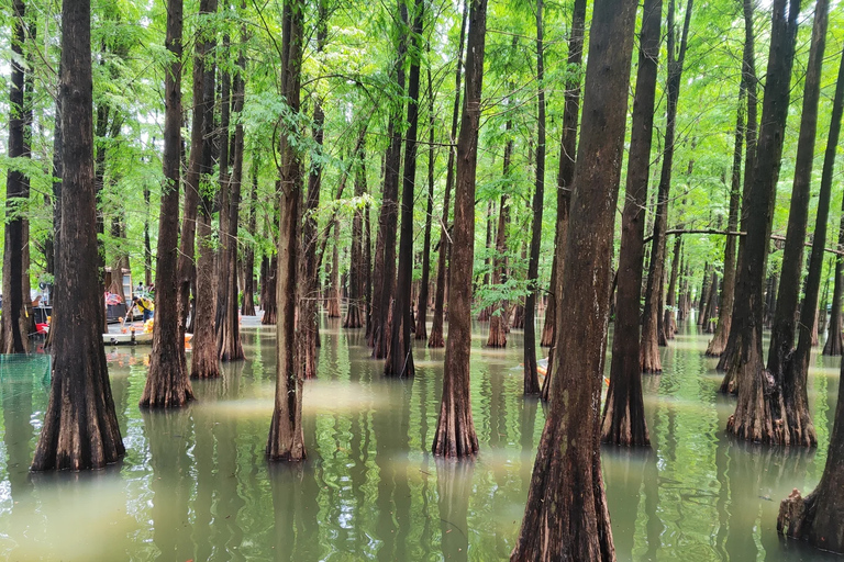 From Guangzhou: Zhaoqing Culture Trip with Lunch & Boat Ride