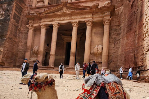 "From Amman:2-Days To Petra&Wadi Rum&Dead Sea Back To Amman"