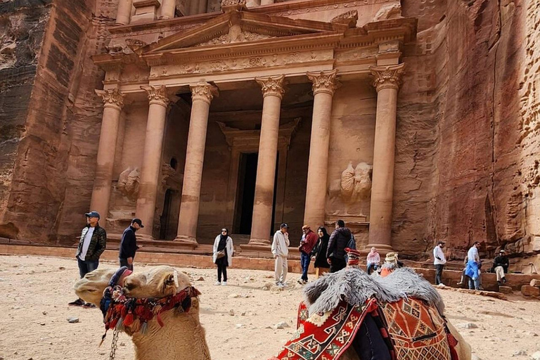 "From Amman:2-Days To Petra&Wadi Rum&Dead Sea Back To Amman"