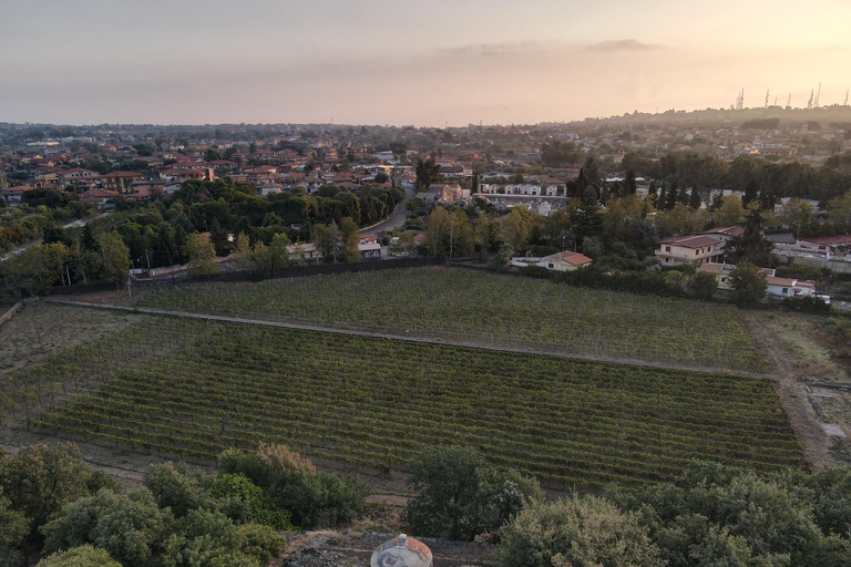 Bodega Urbana Etna - Almuerzo siciliano con cata de vinos