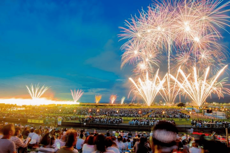 From Tokyo: Nagaoka Fireworks Festival & Naeba Hotel Trip Twin Room (2-Person Room)