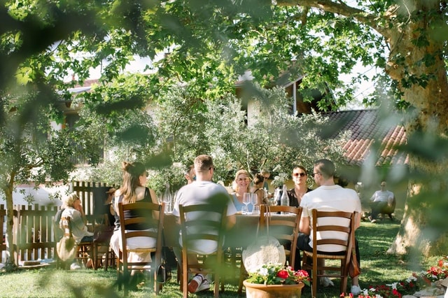 Lake Garda Hills: Scenic Vineyard Tour & Wine Tasting