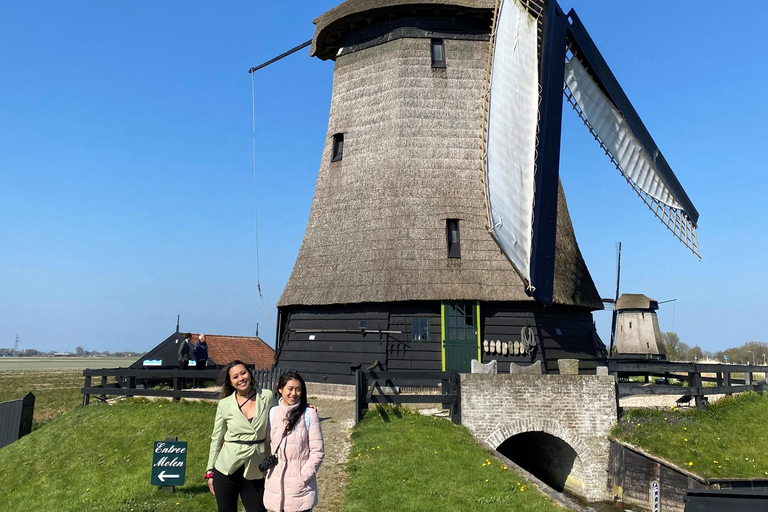 Amsterdam: Tulip Fields Day Tour with Lunch & Windmill