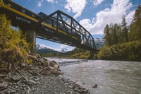 Girdwood, Bears, Treinen en Icebergs Tour - Housity