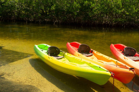 Sansibar: Gewürzfarm, Stone Town &amp; Mangroven-Kajaktour