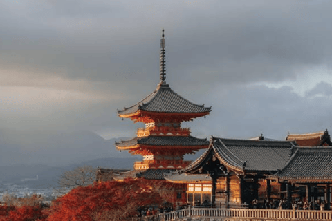 Kyoto Full Day Customizable Private Tour with English Guide