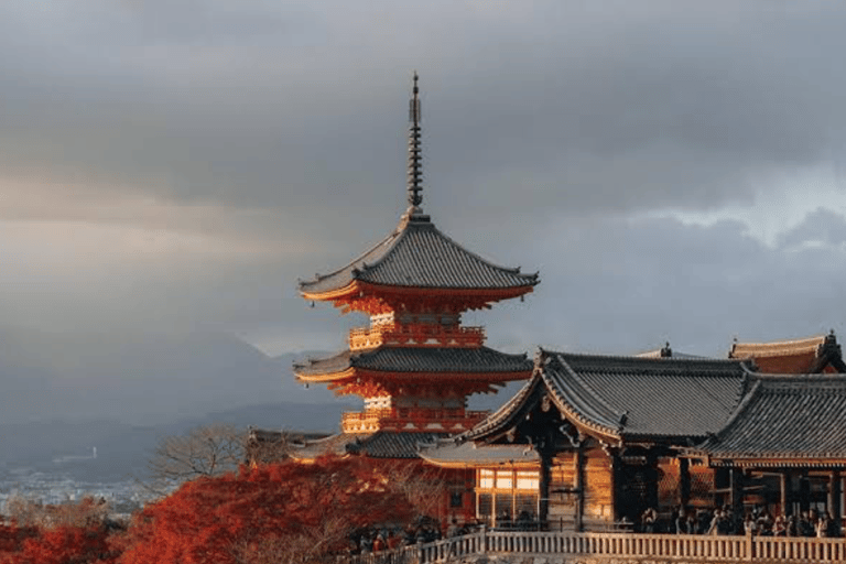 Kyoto Full Day Customizable Private Tour with English Guide