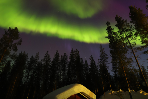 Levi: Aurora Hunting by Car