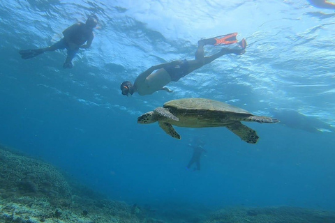 Private Snorkeling in Gili Trawangan, meno & air with goopro Option 1:Private Snorkeling in Gili T,meno & air with goopro