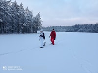 Von Helsinki, Nationalpark-Wandertour mit Essen & Trinken - Hizvo