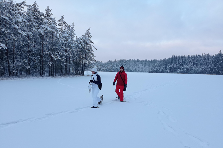 Verken vanuit Helsinki een nationaal park met maaltijd en snacks.Verken een nationaal park in de buurt van Helsinki