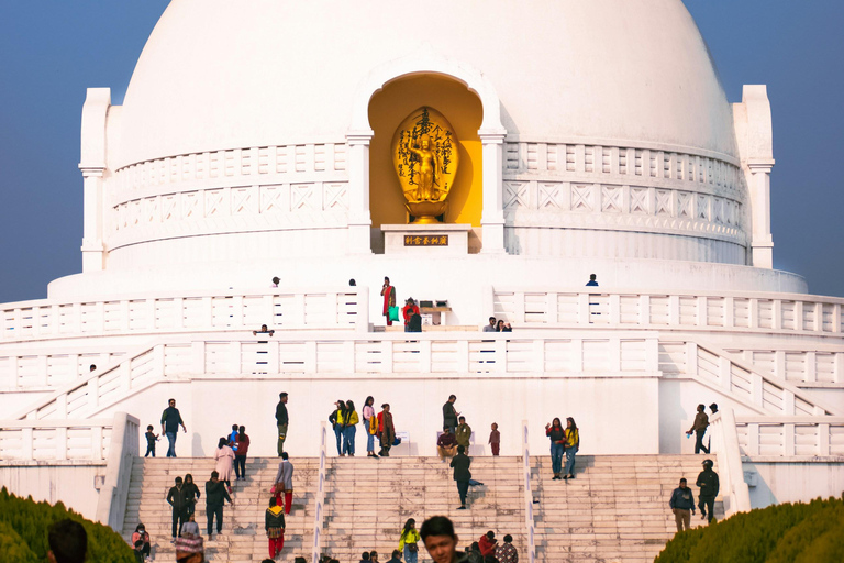 Pokhara: 5-Day Chitwan Wildlife & Lumbini Pilgrimage Tour