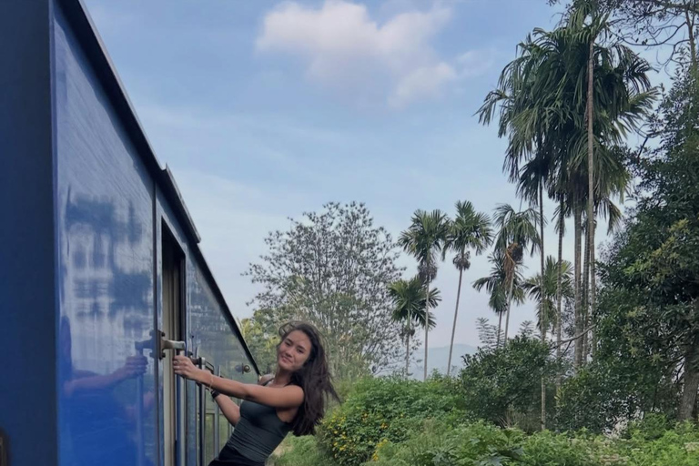 5 Days Sri Lanka Highlights Tour: Culture, Nature & Heritage