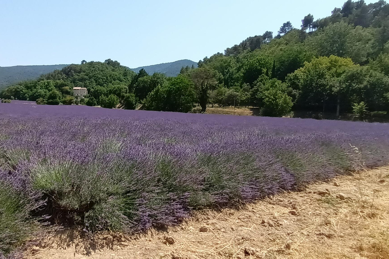 夏季之旅，4天/ 3晚，骑电动自行车探索普罗旺斯夏季之旅，4天/3夜，骑电动自行车探索普罗旺斯