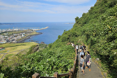Jeju Tour | Jungmun & Seogwipo Pick-up | UNESCO Highlights