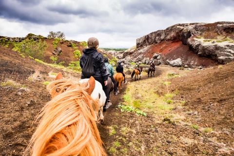 Reykjavik: tour della lava rossa a cavallo