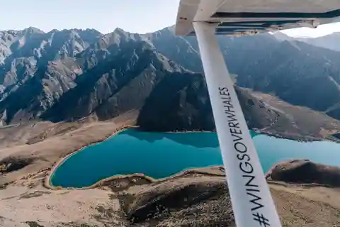 Kaikoura : Observation des baleines en vol prolongé et excursion dans les montagnes