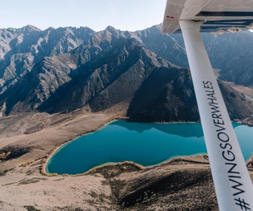 Kaikoura: Extended Flight Whale Watching & Mountain Tour