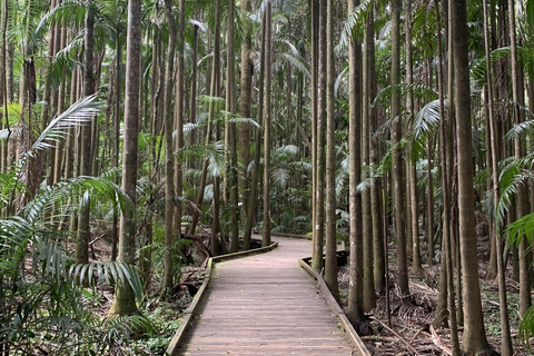 Glass House Mountains & Rainforest Day Tour from Brisbane