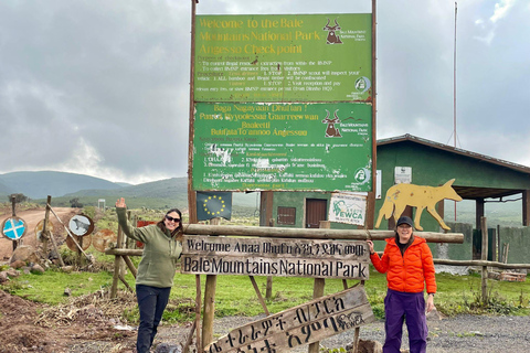 From Addis Ababa: 4-Day Bale Mountains Trekking Tour