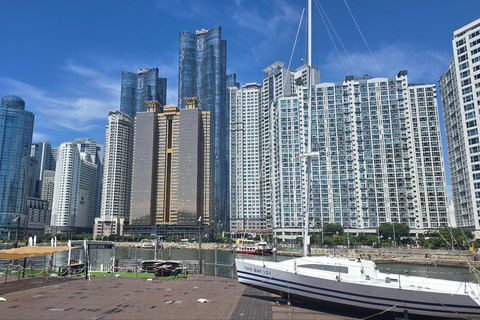 Busan: Private Shore Excursion with Licensed Local Guide