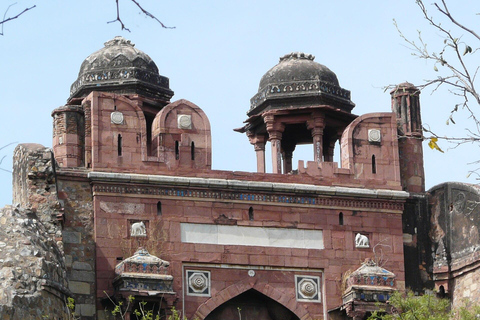 Delhi: tour a piedi di Purana Qila