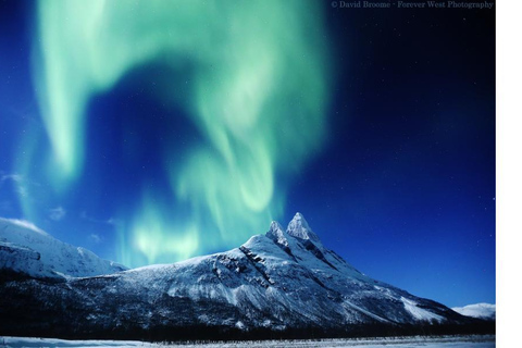 Tromso Persecución en Gran Autobús de la Aurora Boreal con Fotos Gratis