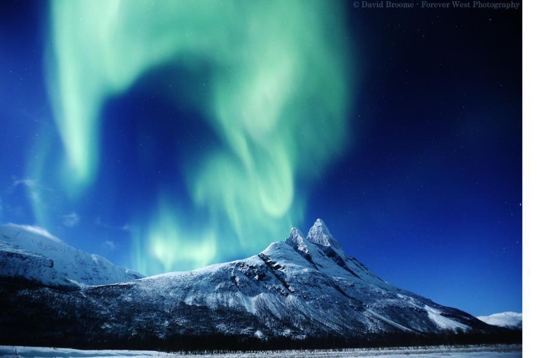 Tromso Persecución en Gran Autobús de la Aurora Boreal con Fotos Gratis