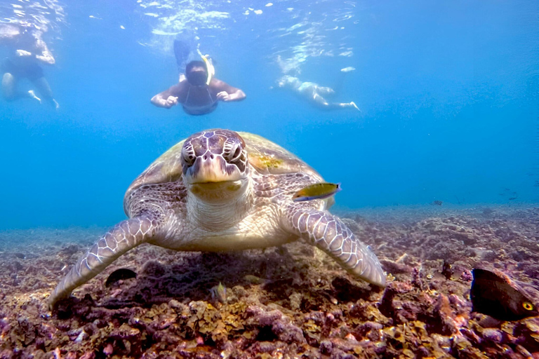 Koh Tao: Excursión de snorkel a la isla de Nang Yuan y bahías ocultas