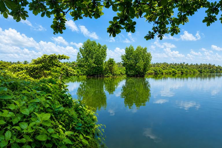 Kerala: Uncover Backwater Mangroves by Country Boat Trails