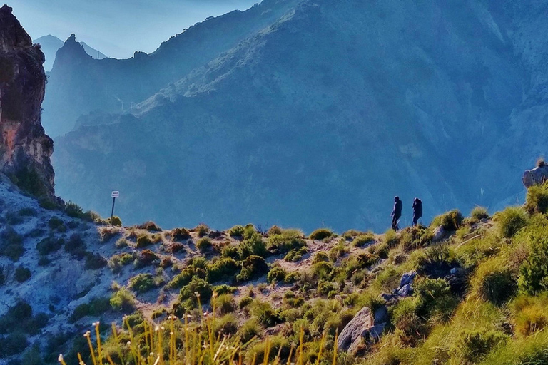 ⭐ Excursión al atardecer y cumbre de Sierra Nevada con cachorro ⭐⭐ Excursión al atardecer y cumbre de Sierra Nevada Excursión privada con cachorro ⭐