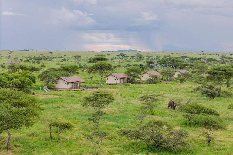 Zanzibar: Tarangire Overnight Safari with Night Game Drive