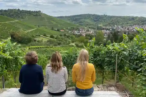 Stuttgart: Vinvandring med smagning efter arbejde