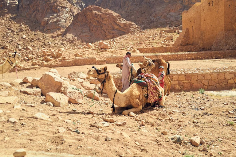 From Sharm: Discover Dahab With Snorkeling &amp; Optional Diving