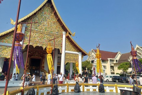 Chiang Mai: Sticky Waterfall, Big Pagoda, and Angels Land