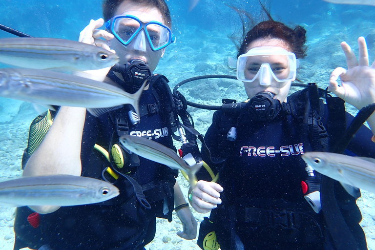 Alanya: PADI Discover Dive & Certified Training Options First Time Diving Option