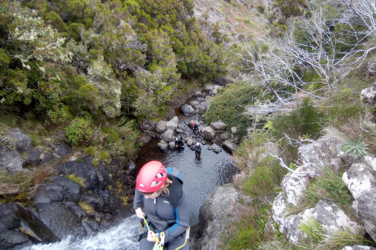 Madeira: Canyoning Privat Tour