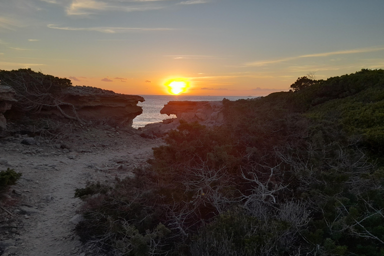 PROMENADE DANS LA NATURE, PLAGE, YOGA ET POSSIBILITÉ DE PIQUE-NIQUE BIO ET SAIN