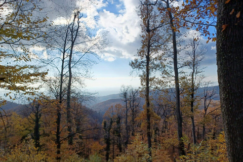 Zagreb: Guided Hike in Medvednica Nature Park