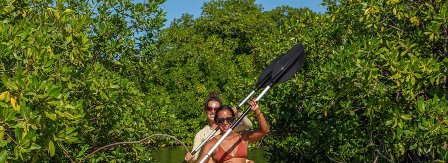 Bonaire : excursion d'une heure en kayak dans la mangrove