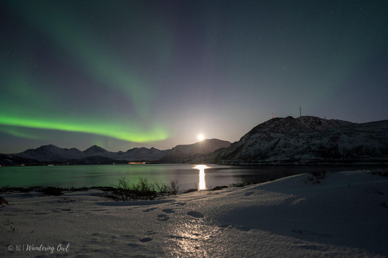 Tromsø: Express Aurora Hunt