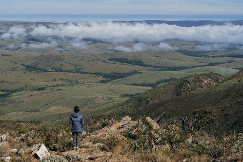 From São Paulo: 5-Day Serra da Canastra Wildlife Safari
