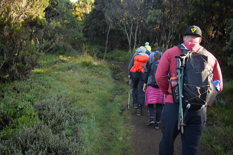 Meilleure excursion d&#039;une journée sur le mont Kilimandjaro via la route Machame