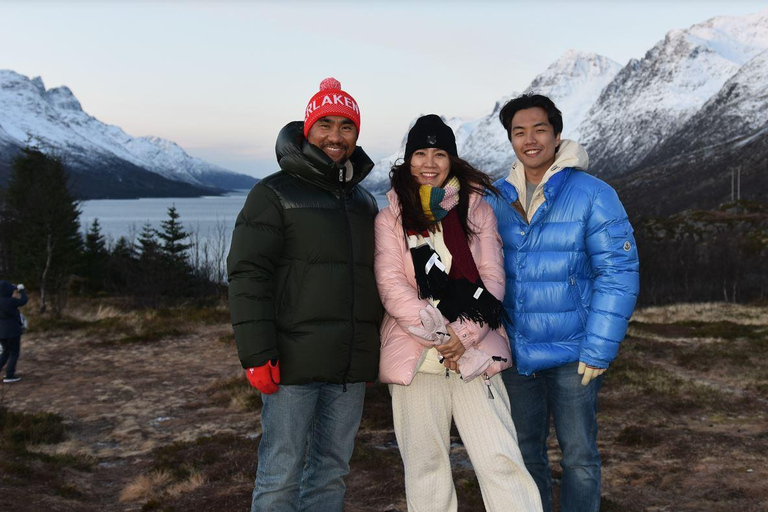 特罗姆瑟：正宗塞尼亚岛一日旅行（含午餐）