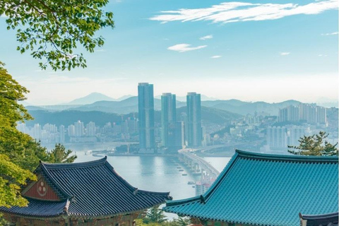 Busan: Private Tour with Songdo Cable Car Option