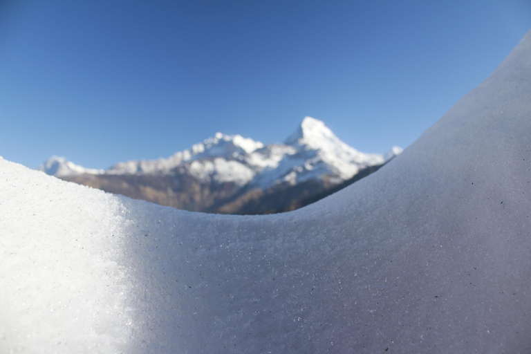 Découvrez la magie de Poon Hill : Un trek de 4 jours au départ de Pokhara