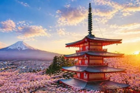 Tokyo: Mount Fuji and Hakone Hidden Gems Tour